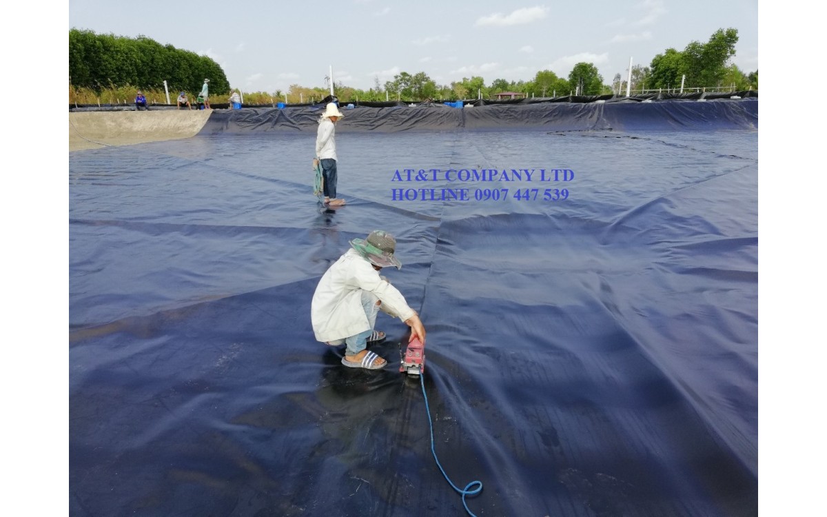 Đ&aacute;nh gi&aacute; việc l&oacute;t bạt trong ao nu&ocirc;i t&ocirc;m